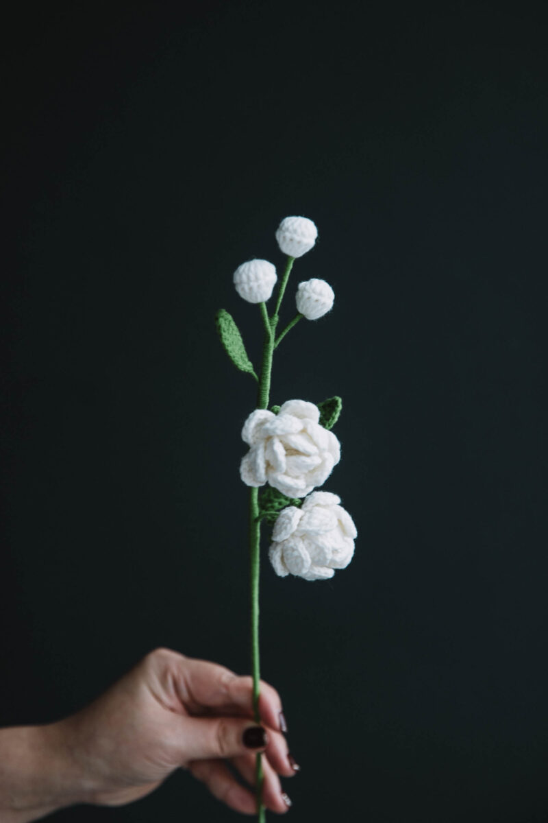 Crochet Jasmine Flower Pattern|hookok Crochet Jasmine Flower Pattern|hookok