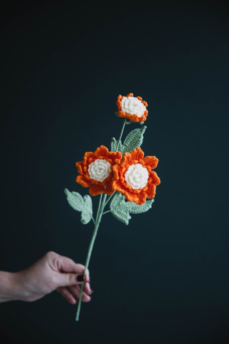 Crochet Pincushion Flower Pattern|hookok Crochet Pincushion Flower Pattern|hookok