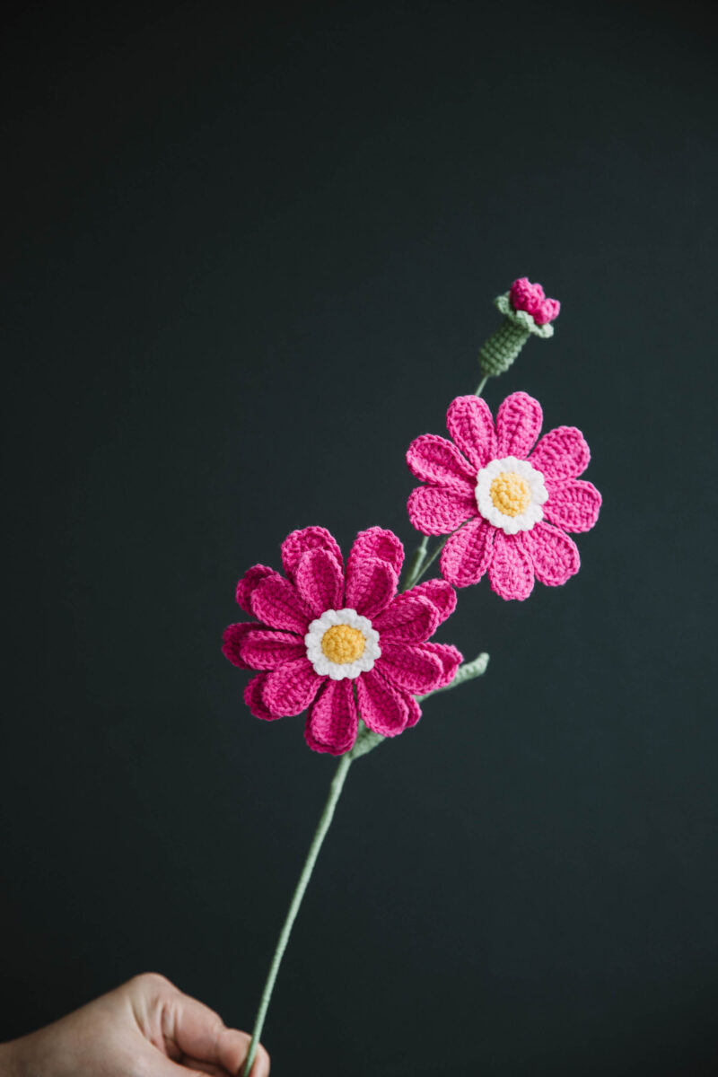 22newpattern-8 22newpattern-8