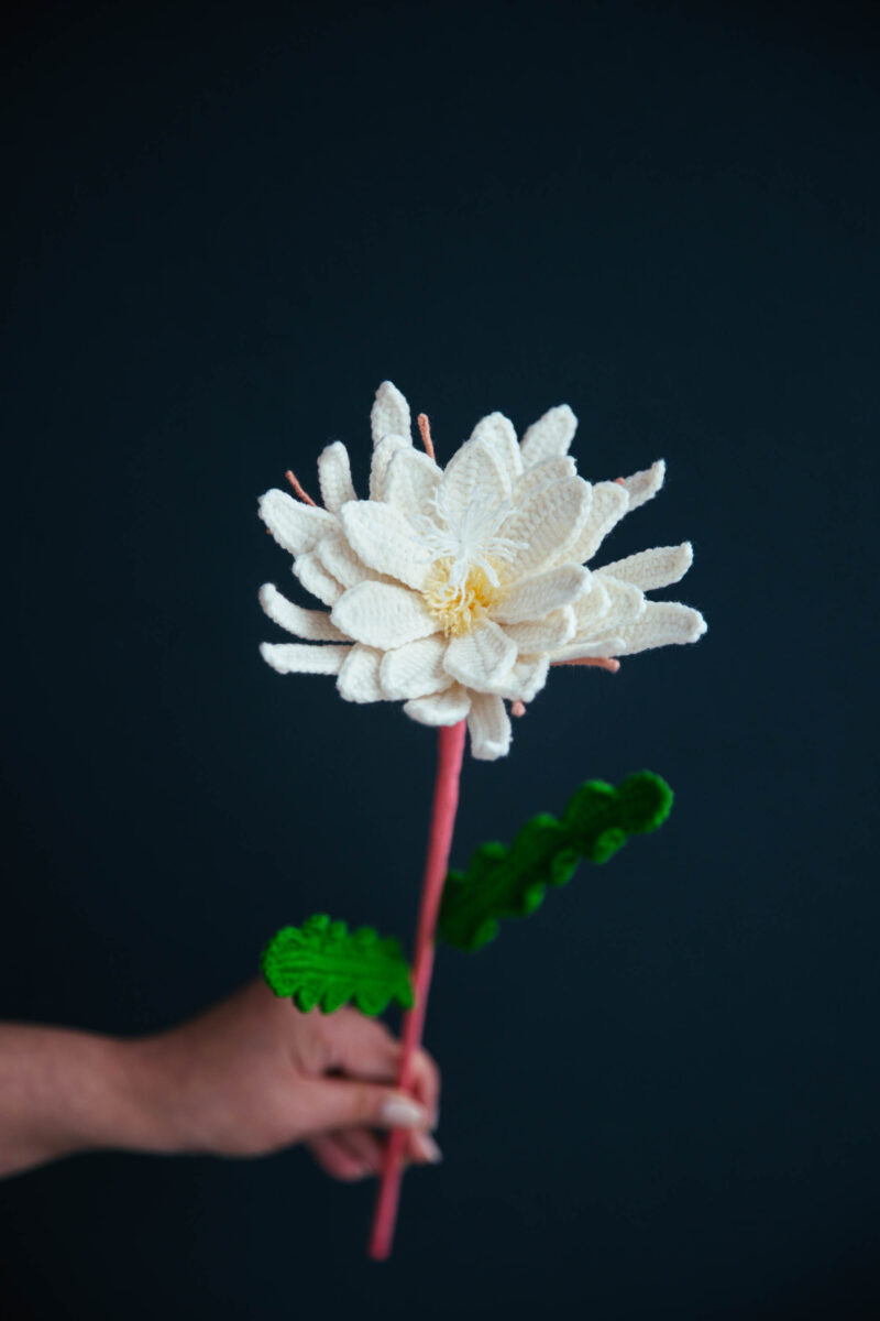 Crochet Epiphyllum Oxypetalum Pattern|hookok Crochet Epiphyllum Oxypetalum Pattern|hookok