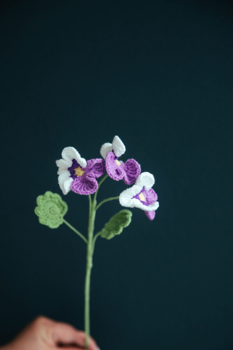 Crochet Pansy Flower Pattern|hookok Crochet Pansy Flower Pattern|hookok