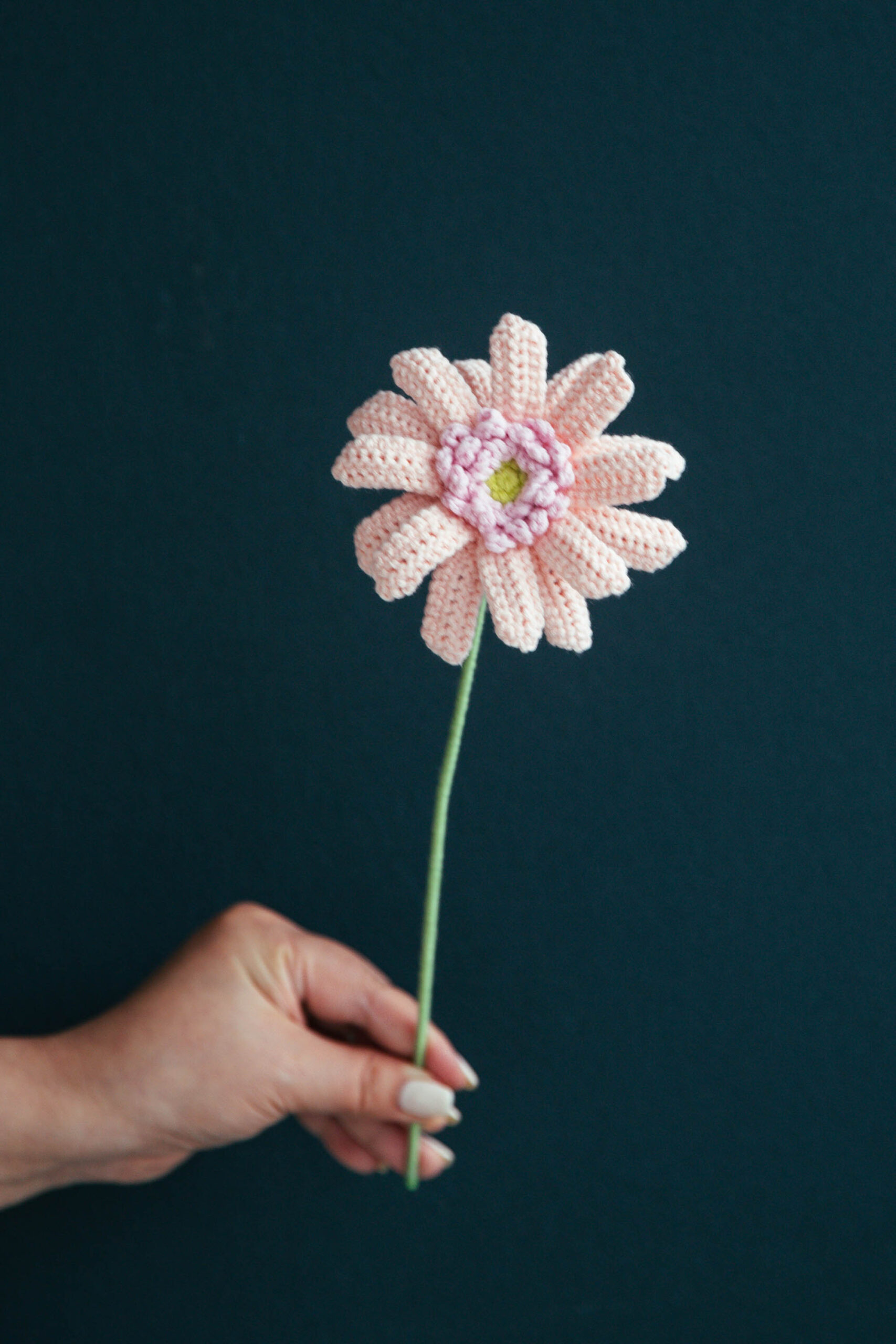 PDF Pattern Crochet Gerbera Daisy Hookok PDF Pattern Crochet Gerbera Daisy Hookok