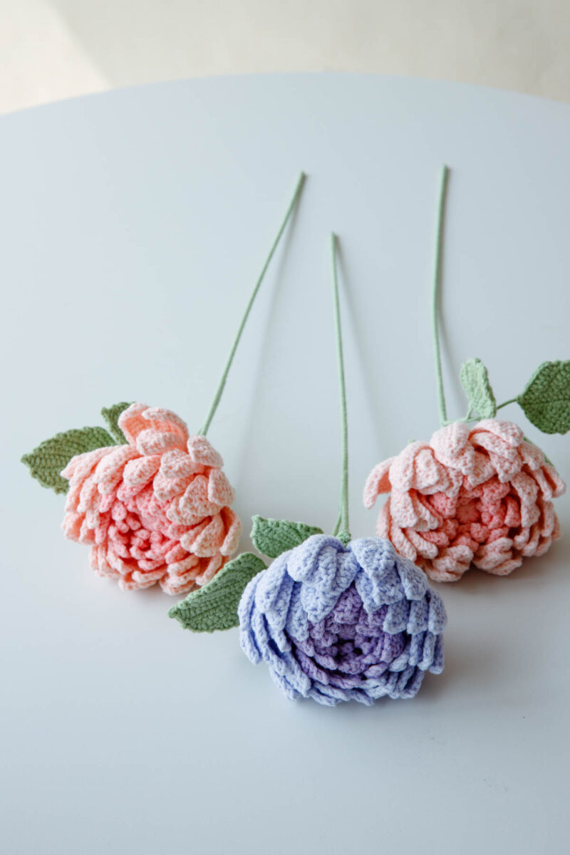 crochet dahlia|hookok crochet dahlia|hookok