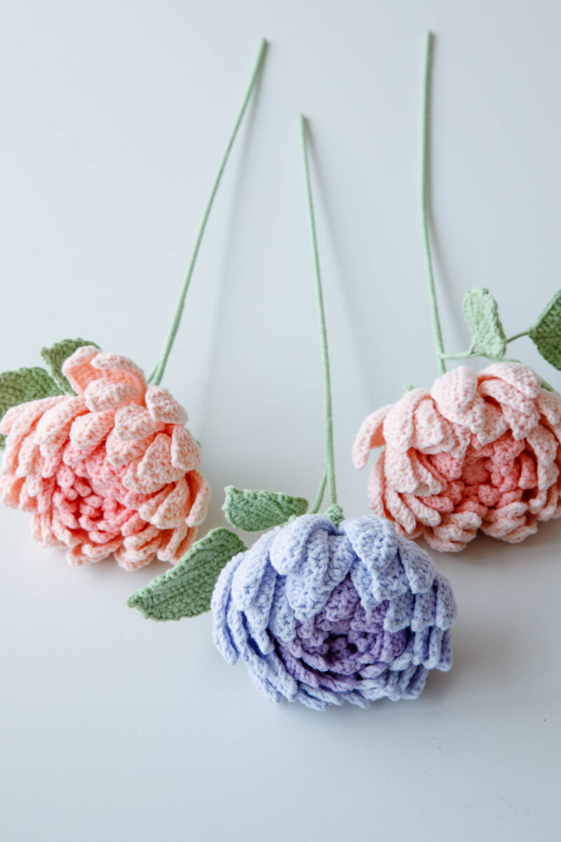 crochet dahlia|hookok crochet dahlia|hookok