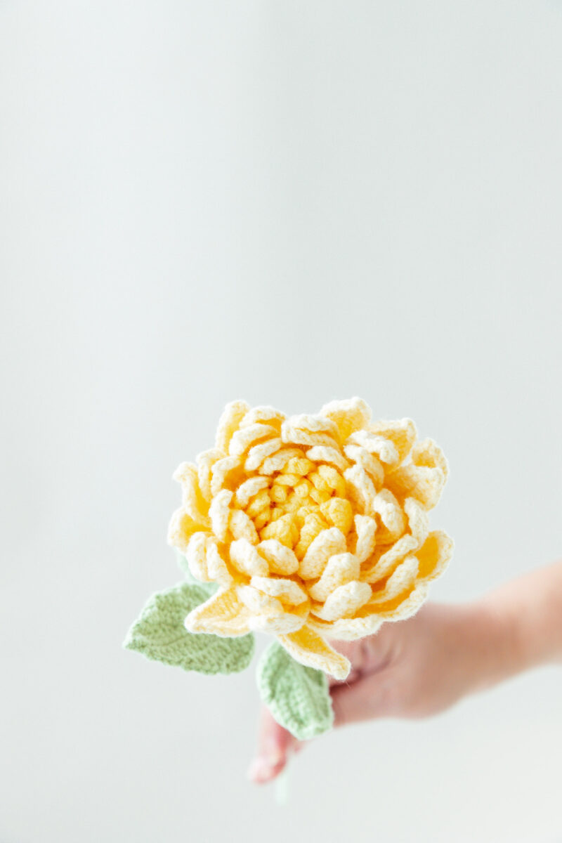 Crochet Dahlia-hookok Crochet Dahlia-hookok