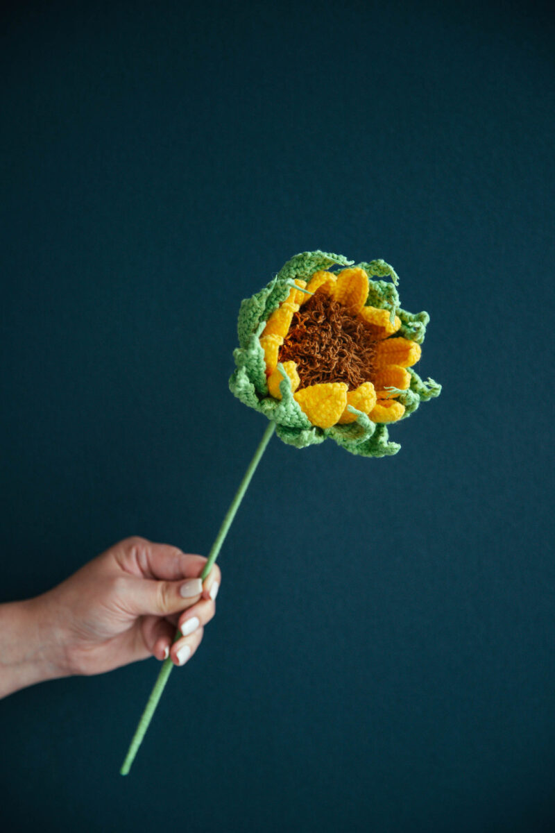 Crochet Budding Sunflower Pattern|hookok Crochet Budding Sunflower Pattern|hookok