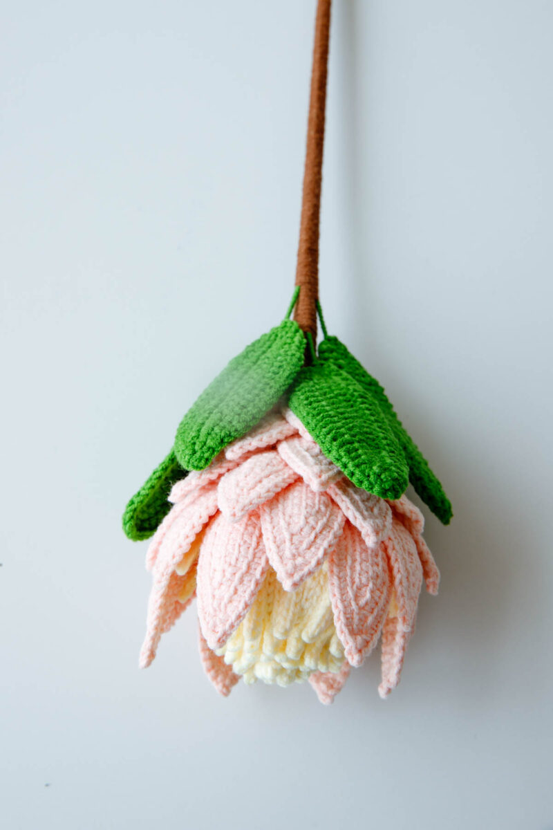 Crochet King Protea Pattern|hookok Crochet King Protea Pattern|hookok