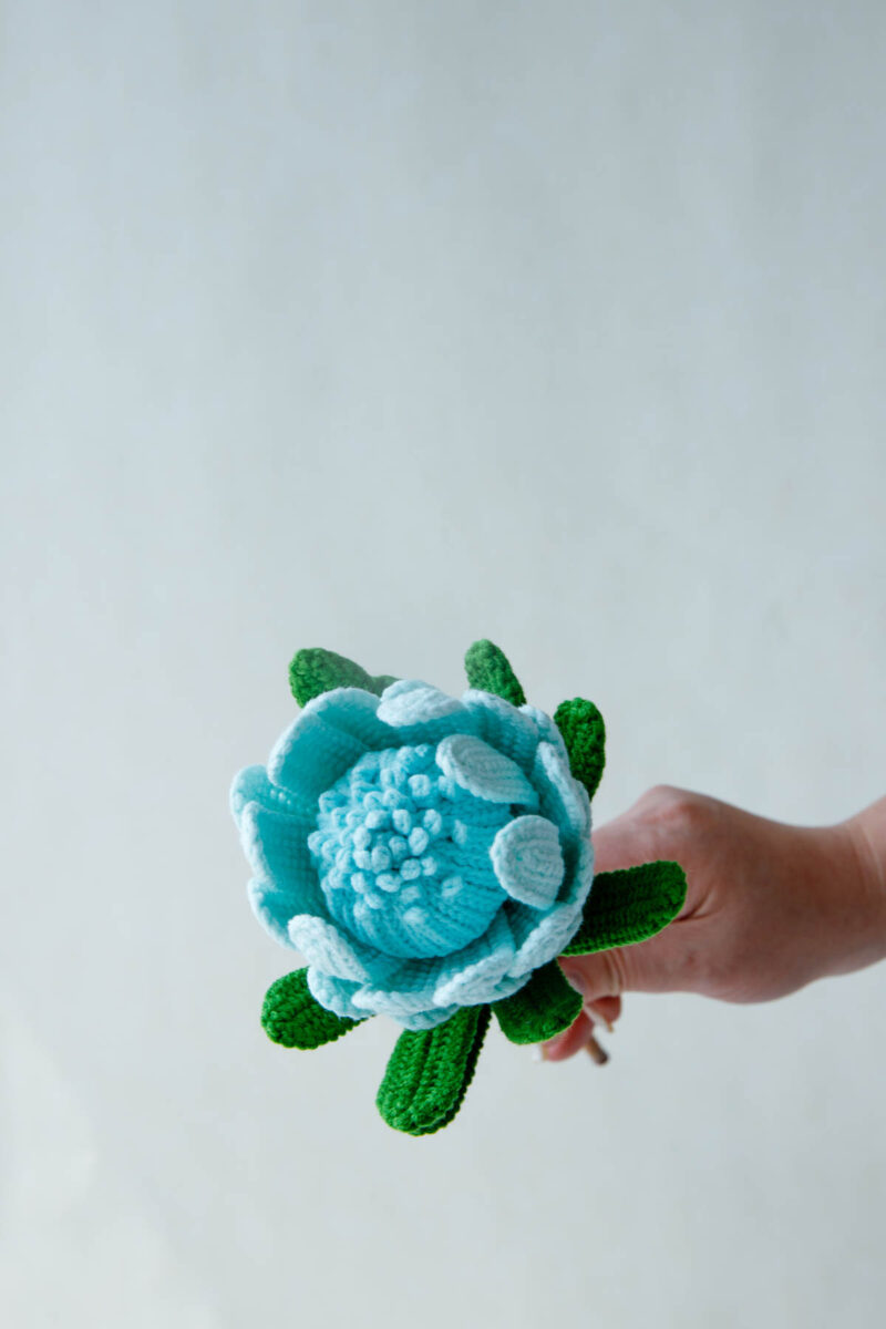 Crochet Princess Protea Pattern|hookok Crochet Princess Protea Pattern|hookok