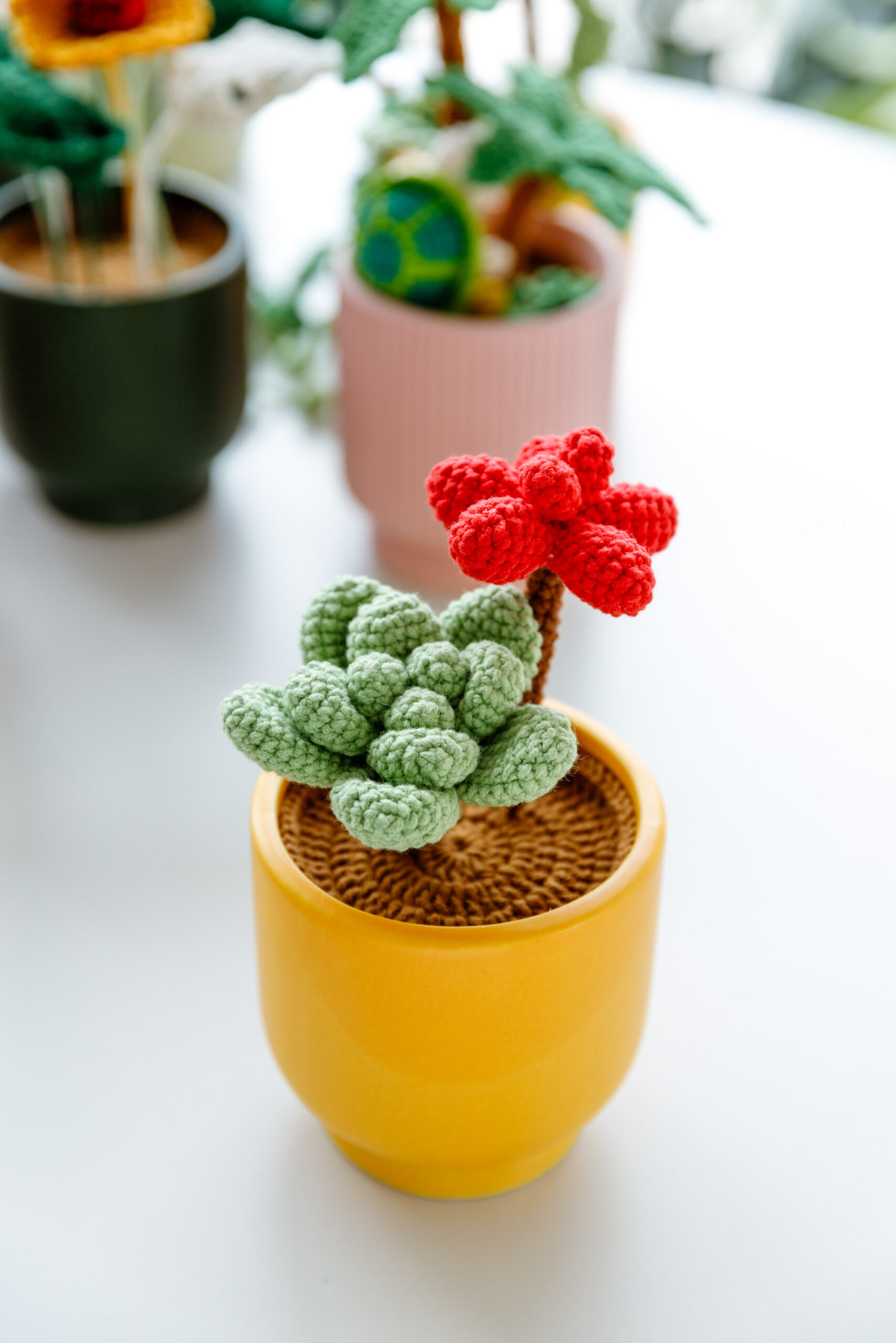 HOOKOK Table Plants - Crochet Succulent Plant Kits