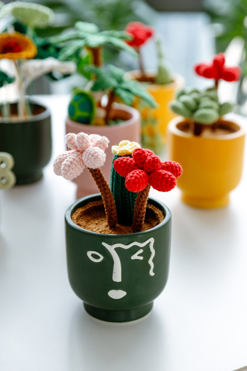 HOOKOK Table Plants - Crochet Cactus and Succulent Kits HOOKOK Table Plants - Crochet Cactus and Succulent Kits