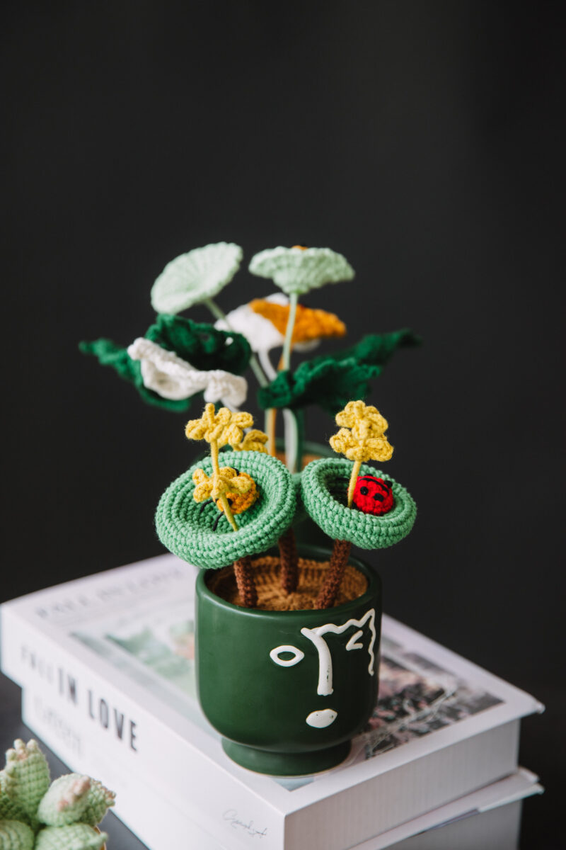 HOOKOK Table Plants - Crochet Crassula Umbella Wine Cup Kits|hookok HOOKOK Table Plants - Crochet Crassula Umbella Wine Cup Kits|hookok