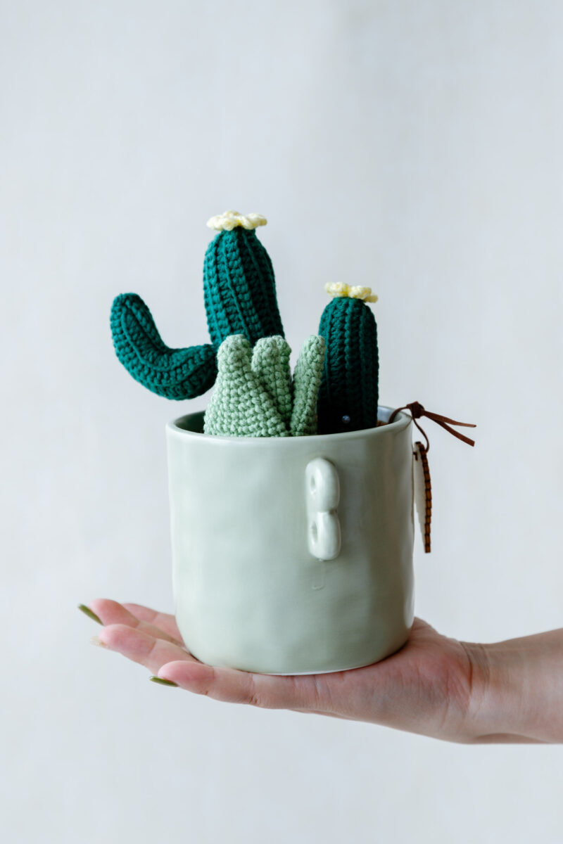 HOOKOK Table Plants - Crochet Cactus and Aloe Vera Kits HOOKOK Table Plants - Crochet Cactus and Aloe Vera Kits