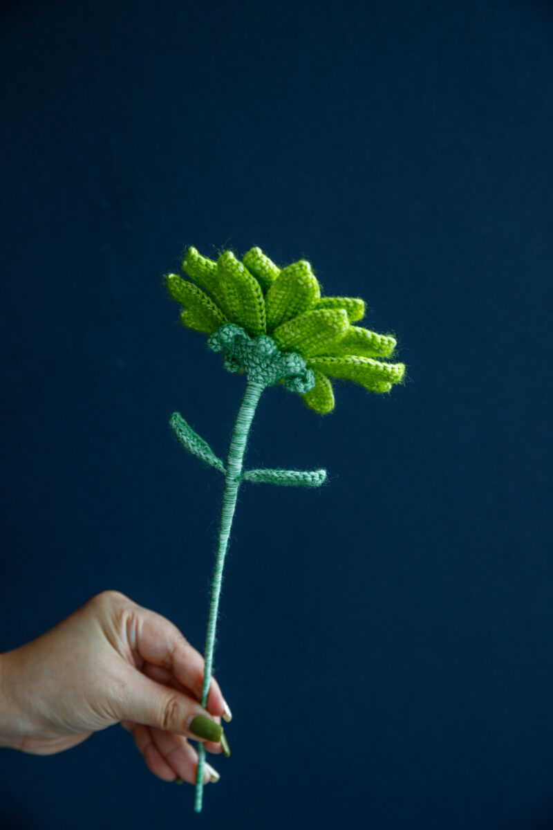 Crochet Lavender Daisy Flower|hookok Crochet Lavender Daisy Flower|hookok