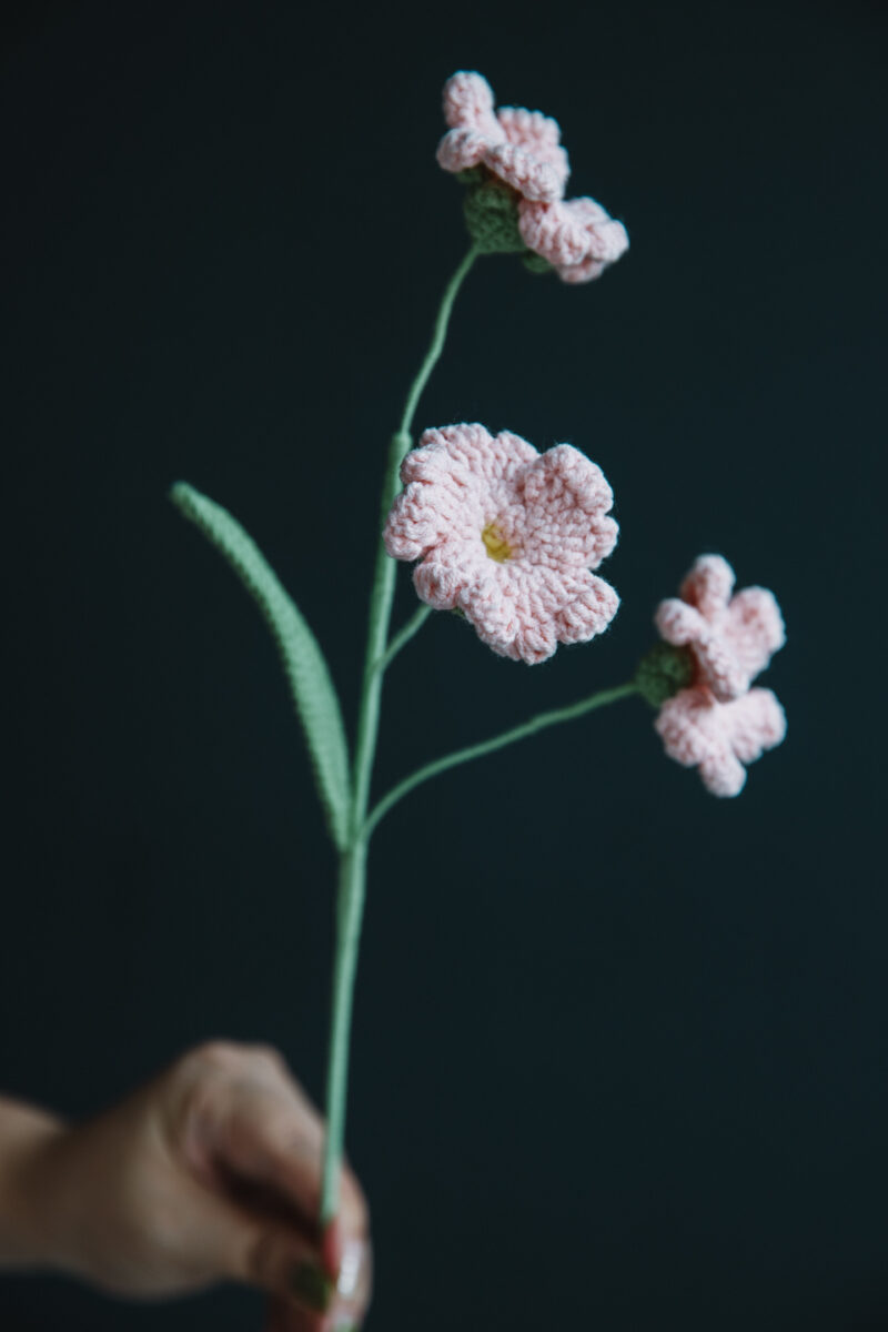 Crochet Primrose Flower|hookok Crochet Primrose Flower|hookok