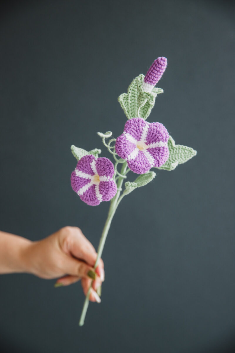 Crochet Morning Glory|hookok Crochet Morning Glory|hookok