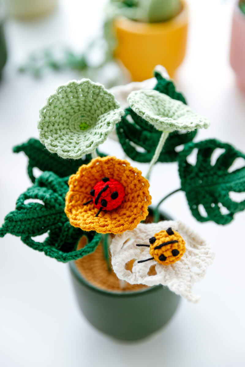 Copper Coin Grass and Turtle Leaf Kits Copper Coin Grass and Turtle Leaf Kits