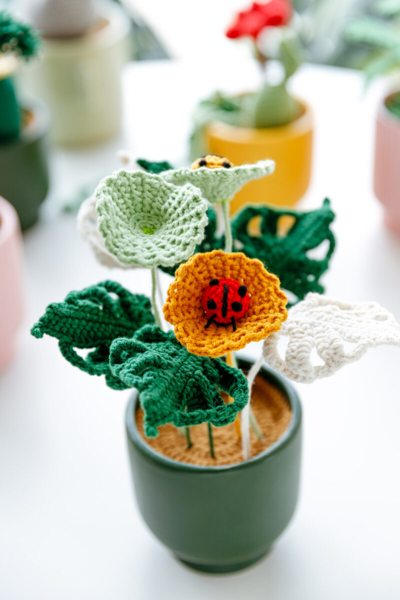 Copper Coin Grass and Turtle Leaf Kits Copper Coin Grass and Turtle Leaf Kits