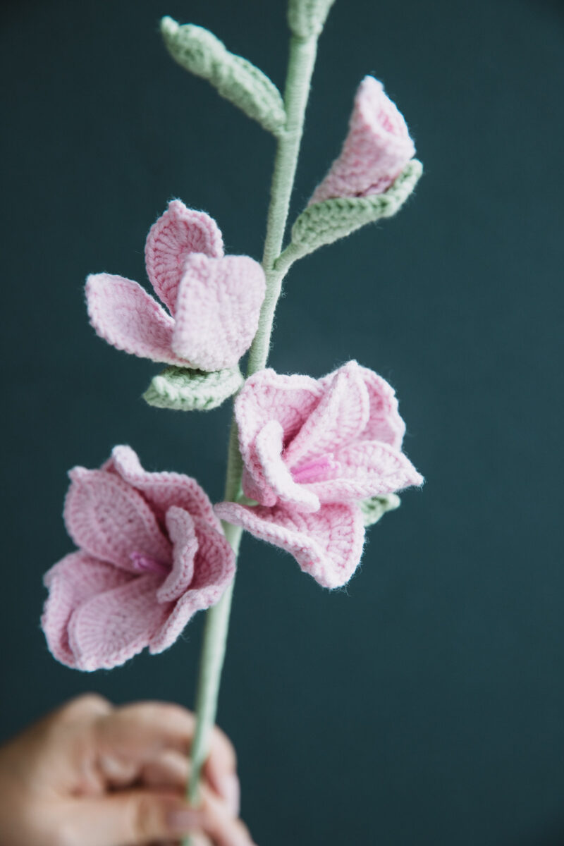 Crochet Gladiolus|hookok Crochet Gladiolus|hookok