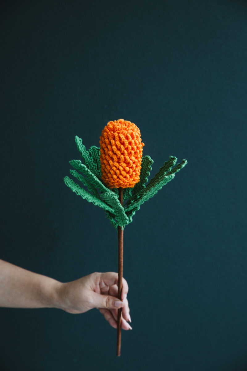 Crochet Banksia Ericifolia|hookok Crochet Banksia Ericifolia|hookok