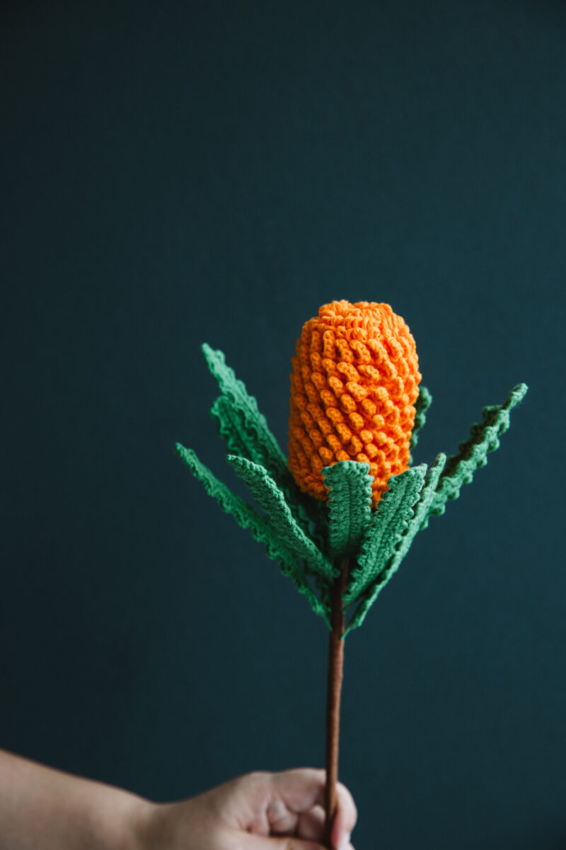 Crochet Banksia Ericifolia|hookok Crochet Banksia Ericifolia|hookok