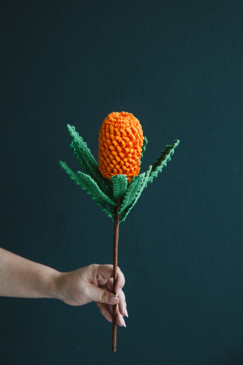 Crochet Banksia Ericifolia|hookok Crochet Banksia Ericifolia|hookok