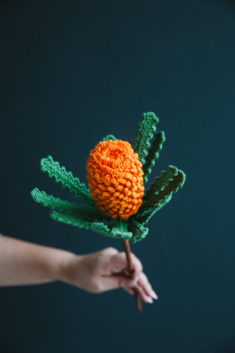 Crochet Banksia Ericifolia|hookok Crochet Banksia Ericifolia|hookok