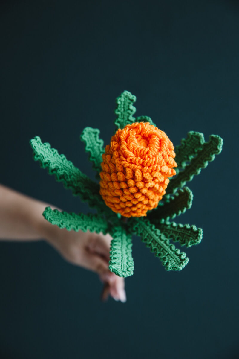 Crochet Banksia Ericifolia|hookok Crochet Banksia Ericifolia|hookok
