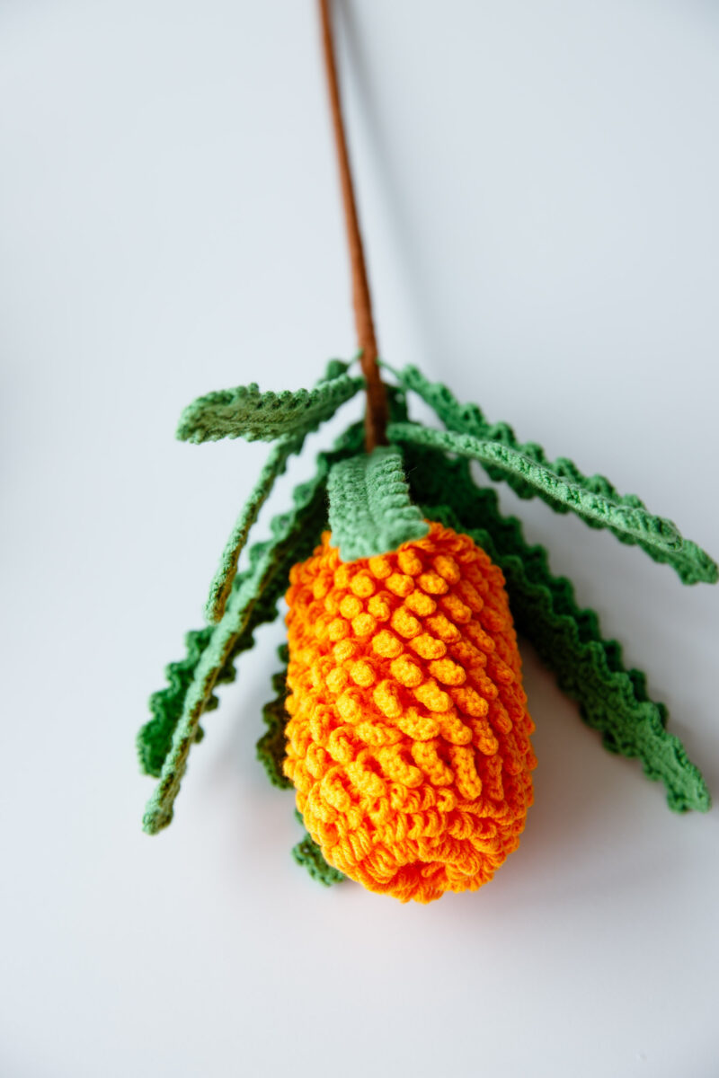 Crochet Banksia Ericifolia|hookok Crochet Banksia Ericifolia|hookok