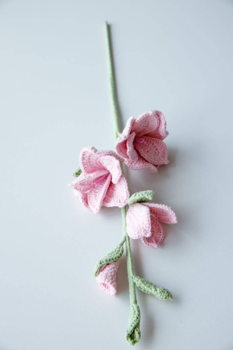 Crochet Gladiolus|hookok Crochet Gladiolus|hookok