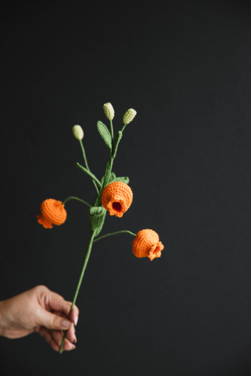 71花拍摄-28 71花拍摄-28