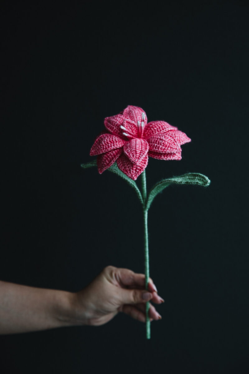 Crochet Double Hippeastrum|hookok Crochet Double Hippeastrum|hookok