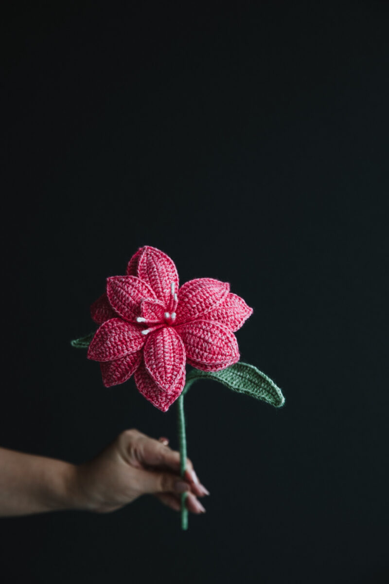 Crochet Double Hippeastrum|hookok Crochet Double Hippeastrum|hookok