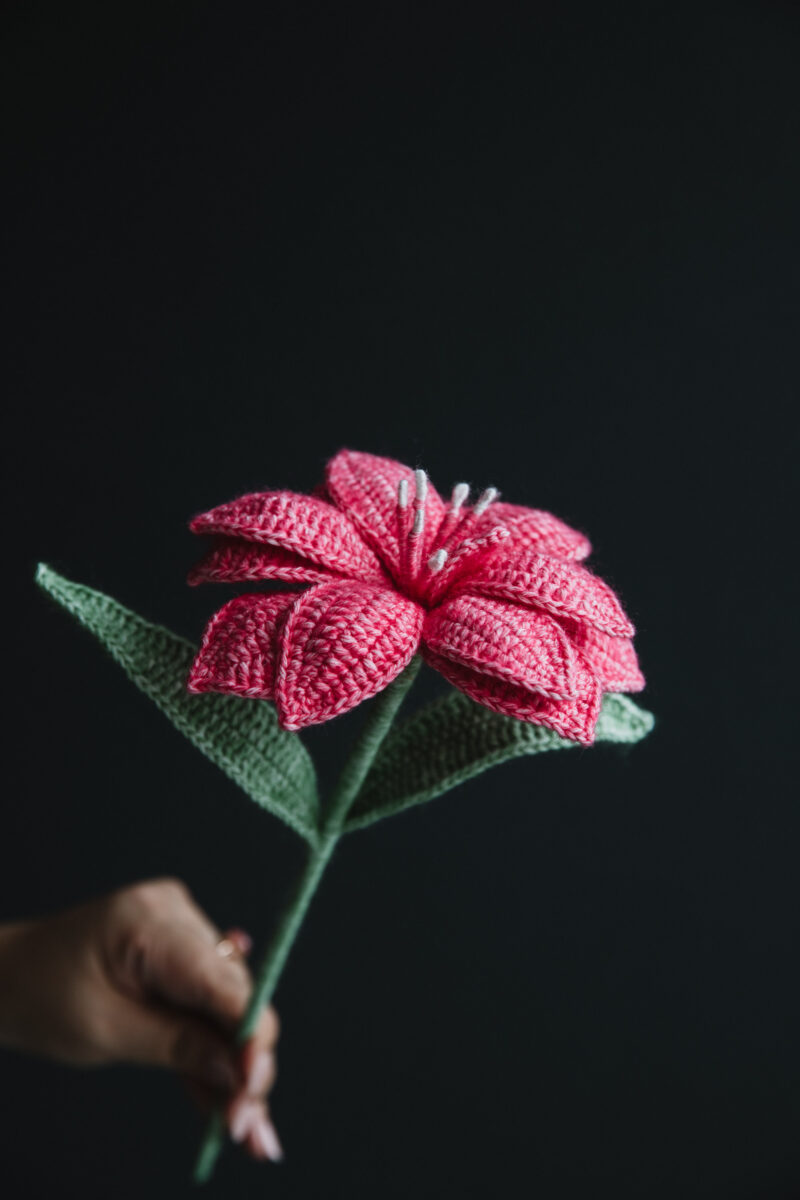 Crochet Double Hippeastrum|hookok Crochet Double Hippeastrum|hookok