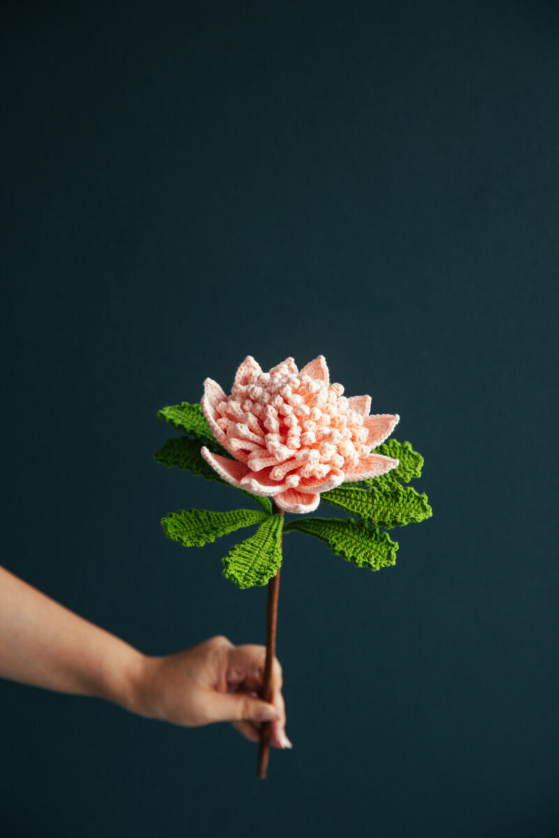 Crochet Protea Cynaroides|hookok Crochet Protea Cynaroides|hookok