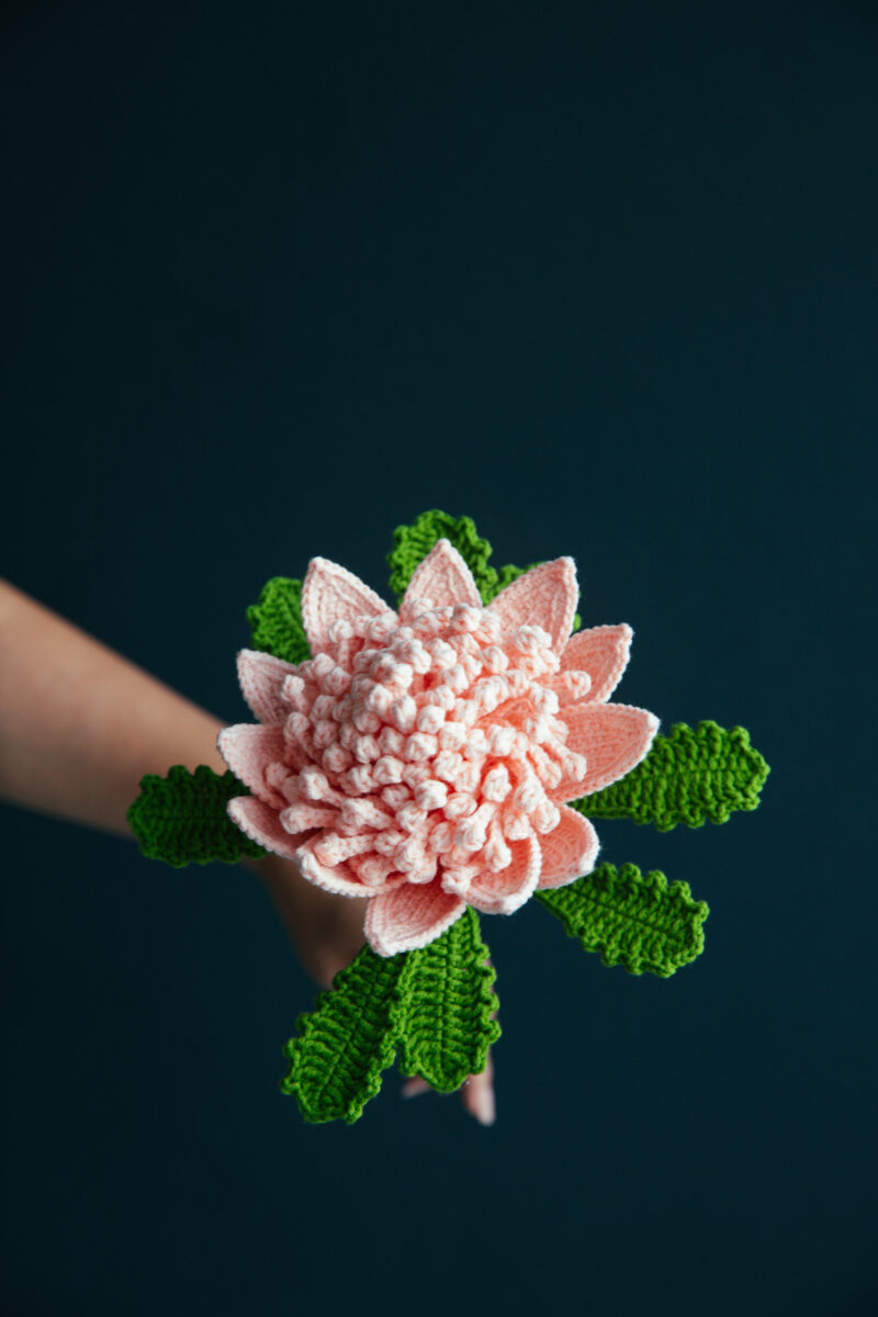 Crochet Protea Cynaroides|hookok Crochet Protea Cynaroides|hookok