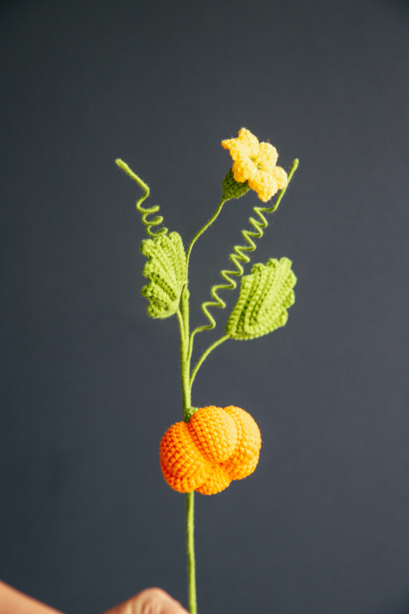 Crochet Pumpkin Branch|hookok Crochet Pumpkin Branch|hookok