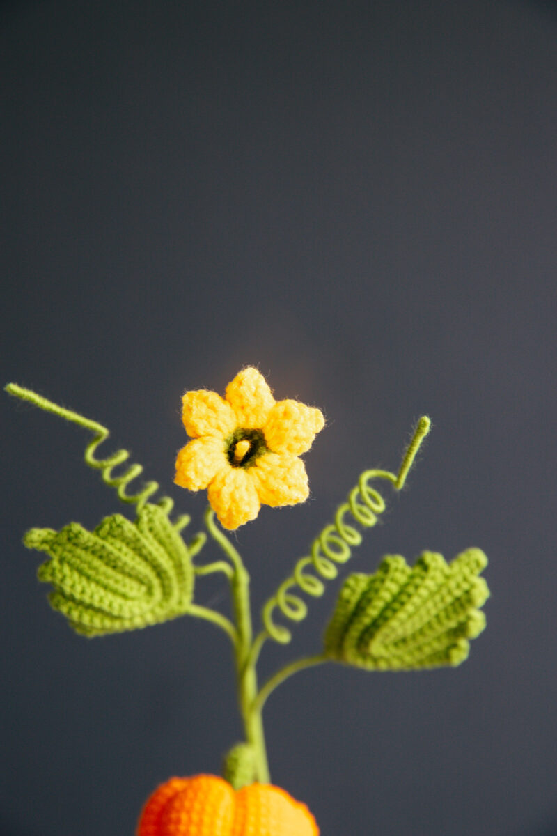 Crochet Pumpkin Branch|hookok Crochet Pumpkin Branch|hookok