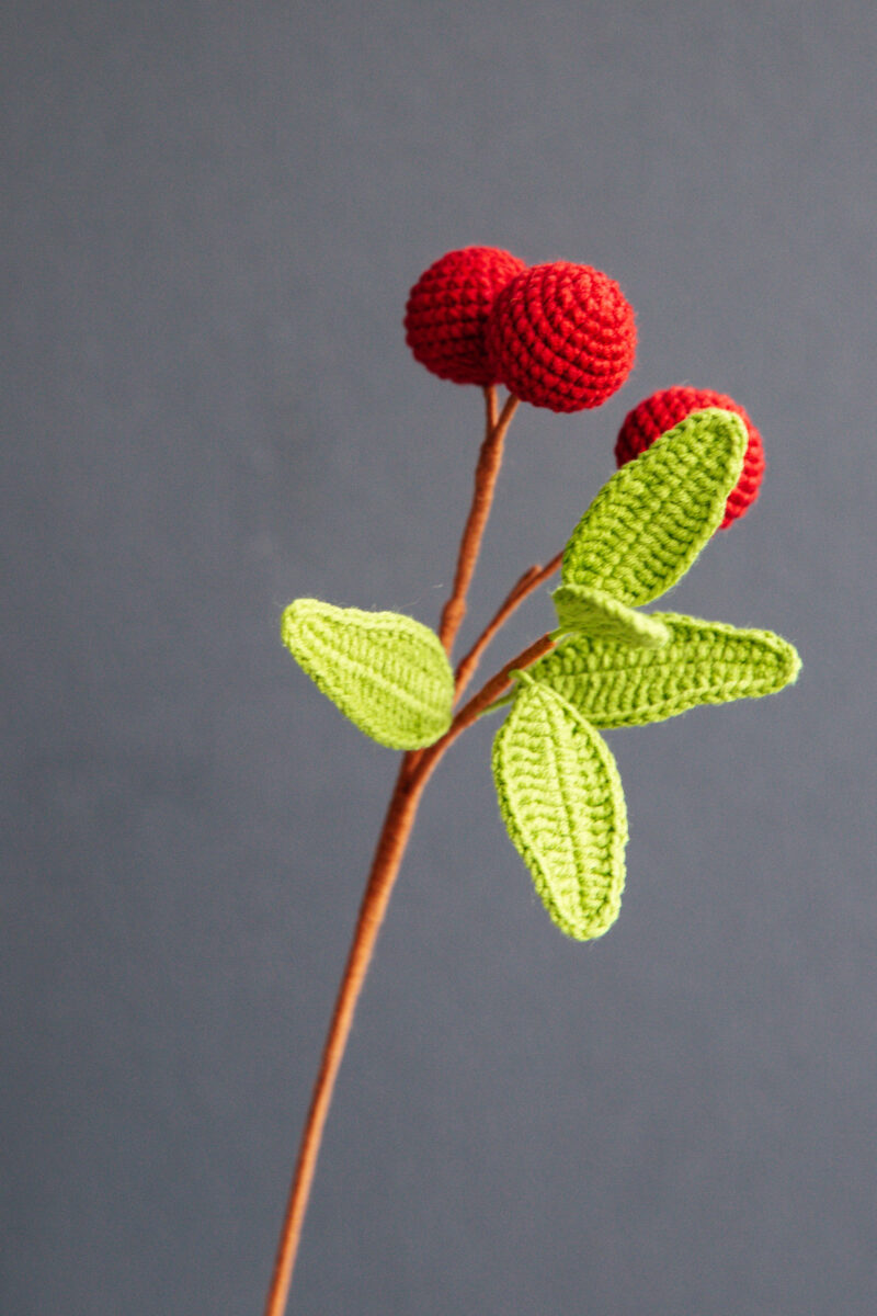 Crochet Litchi Branch|hookok Crochet Litchi Branch|hookok