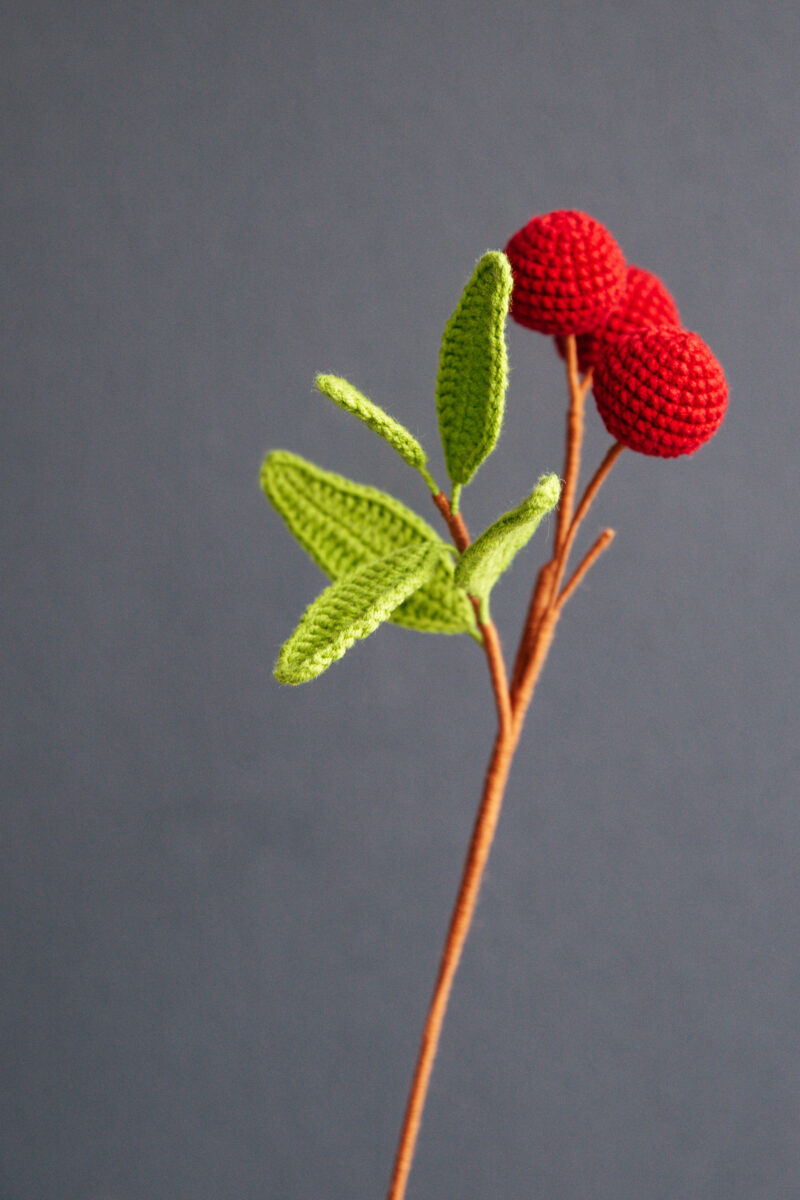 Crochet Litchi Branch|hookok Crochet Litchi Branch|hookok