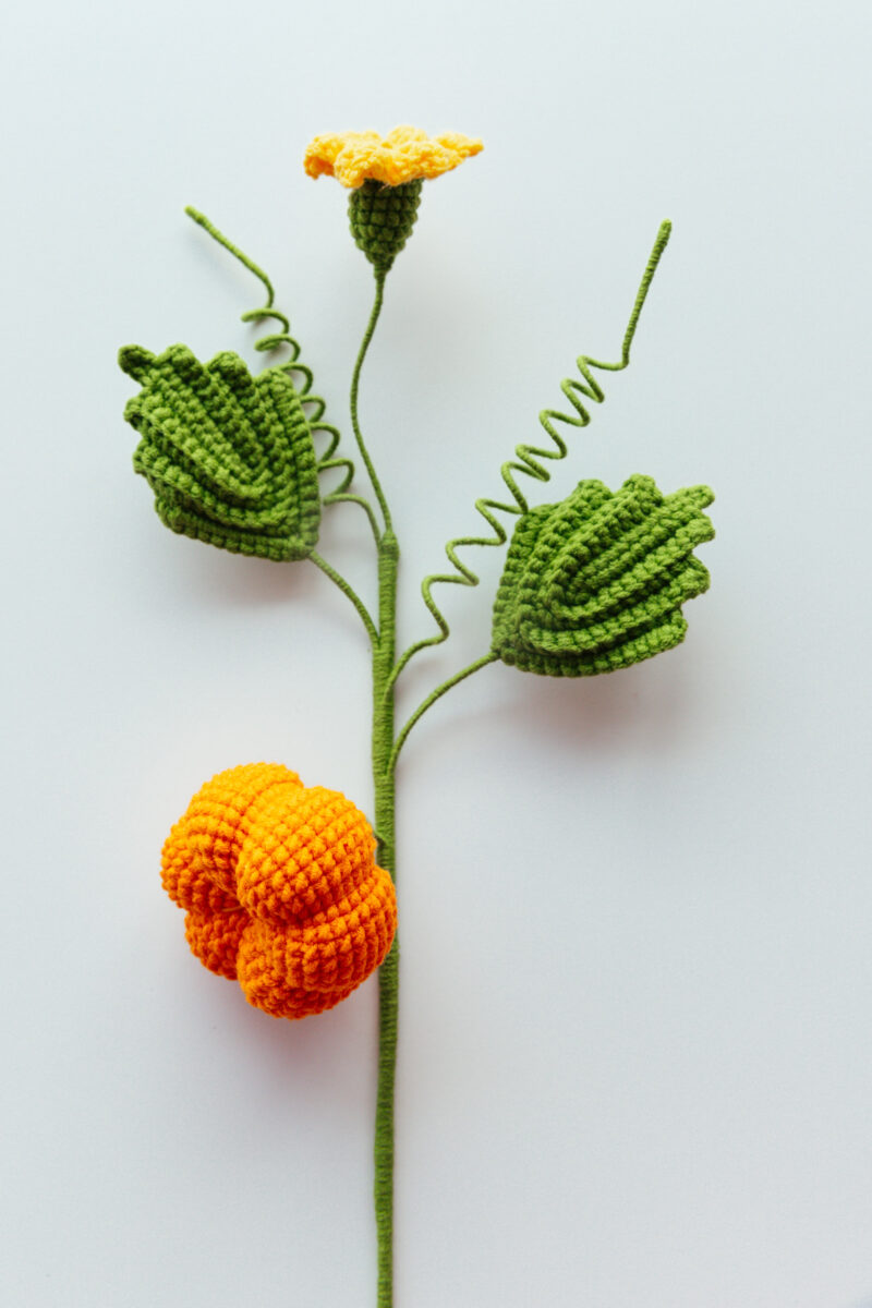 Crochet Pumpkin Branch|hookok Crochet Pumpkin Branch|hookok