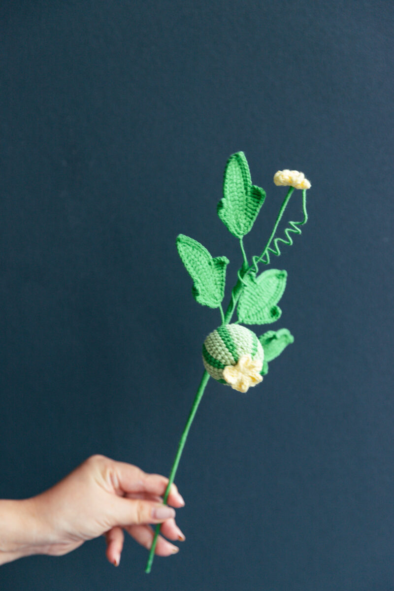 Crochet Watermelon Branch|hookok Crochet Watermelon Branch|hookok