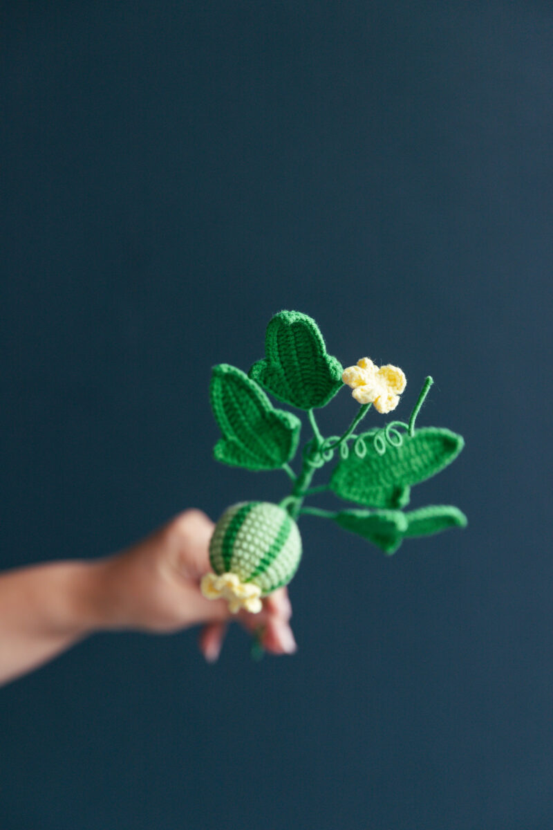 Crochet Watermelon Branch|hookok Crochet Watermelon Branch|hookok