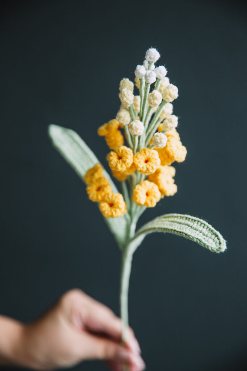 79product-6 79product-6