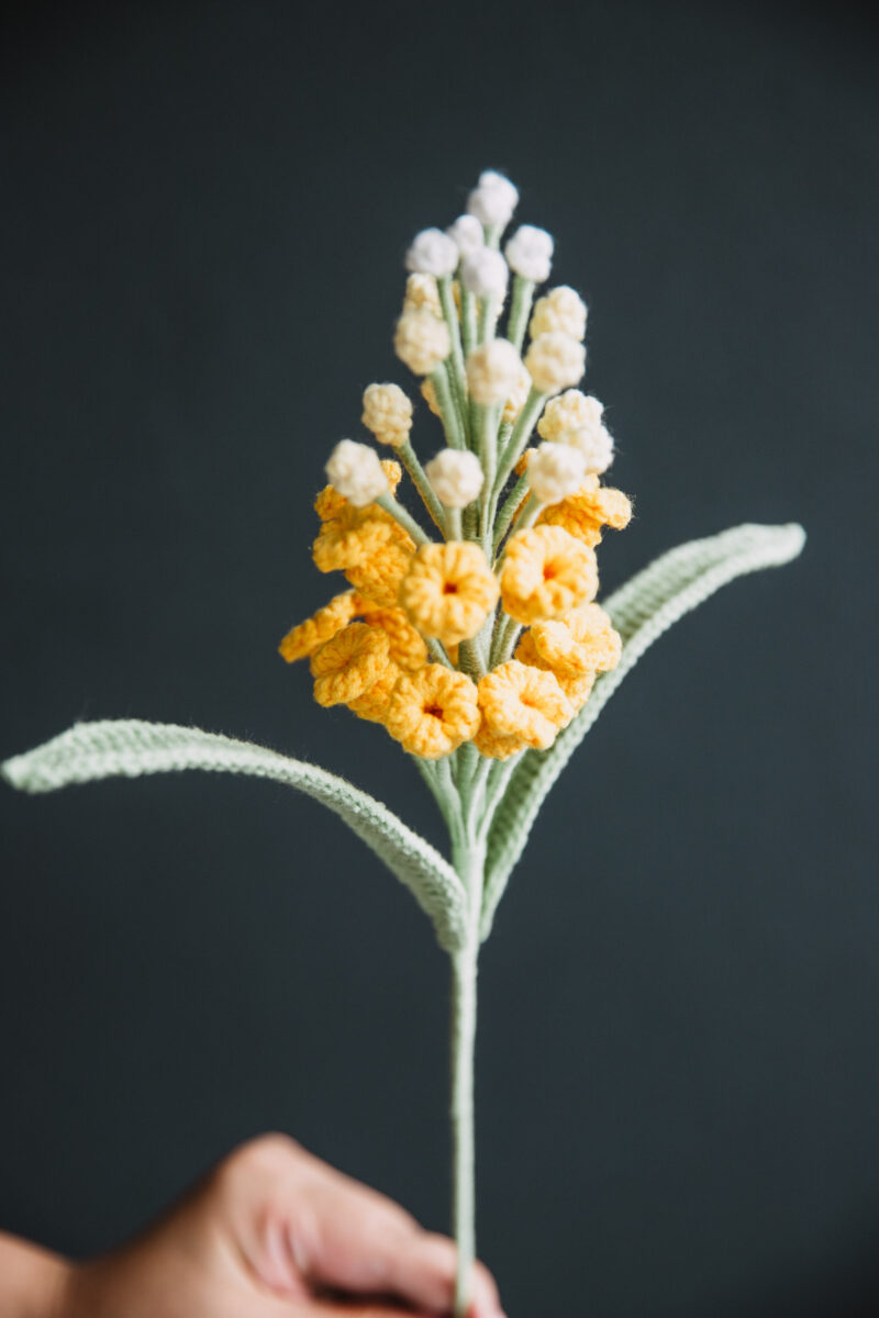 79product-7 79product-7