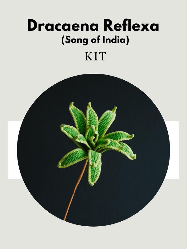 Crochet Dracaena Reflexa (Song of India) Kit  Hookok