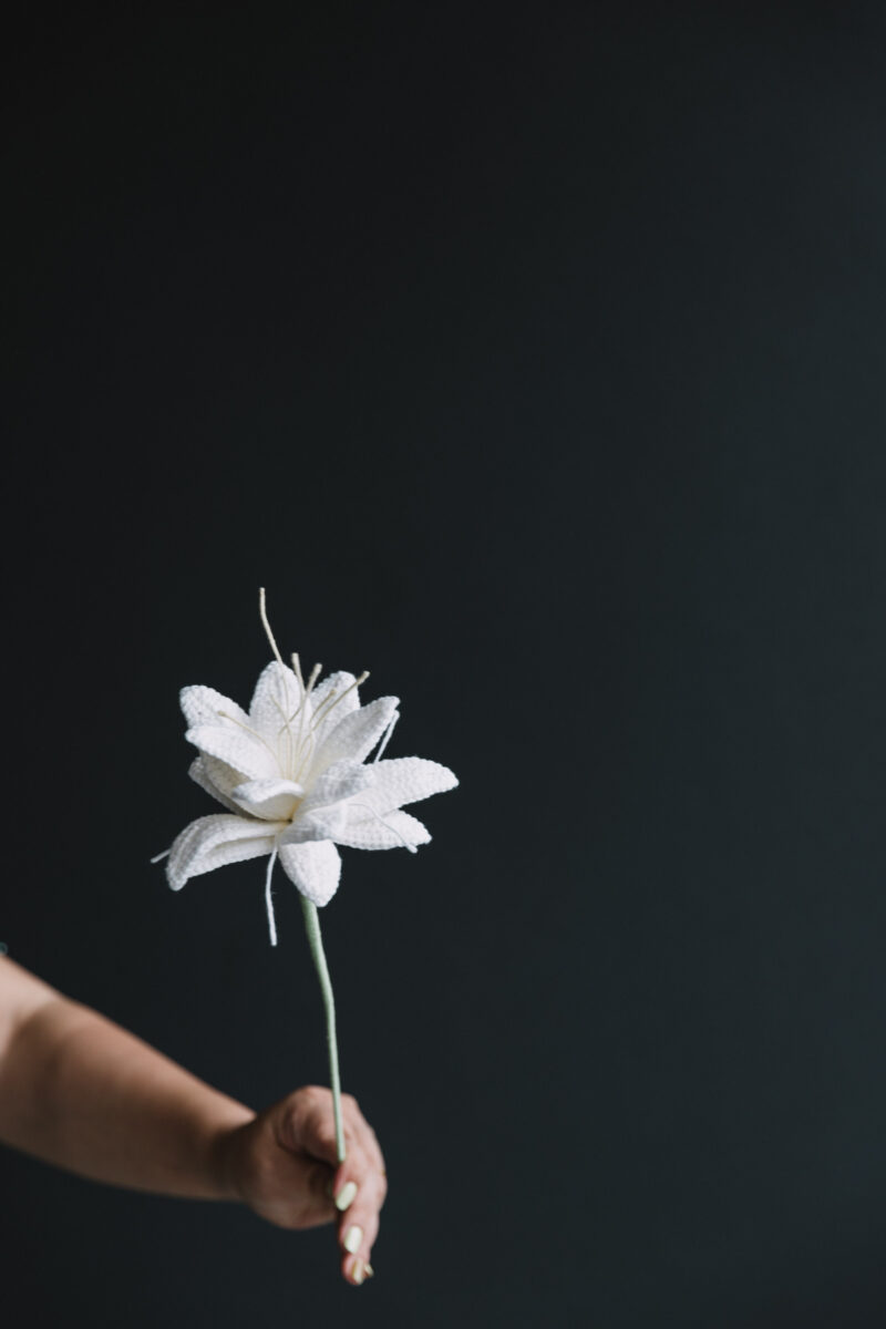 Snow Cold Flower|hookok Snow Cold Flower|hookok