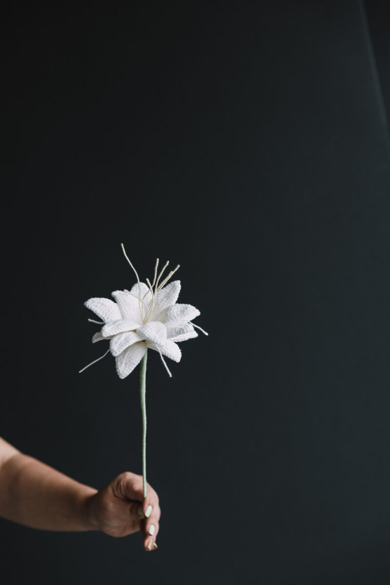 Snow Cold Flower|hookok Snow Cold Flower|hookok