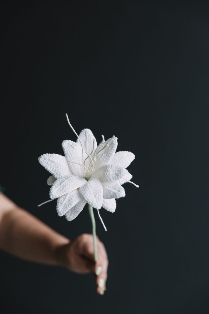 Snow Cold Flower|hookok Snow Cold Flower|hookok