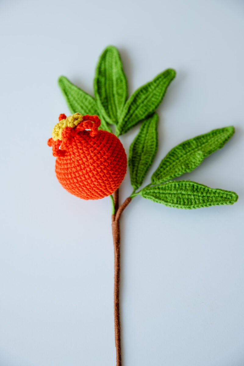 Crochet Pomegranate Branch|hookok Crochet Pomegranate Branch|hookok