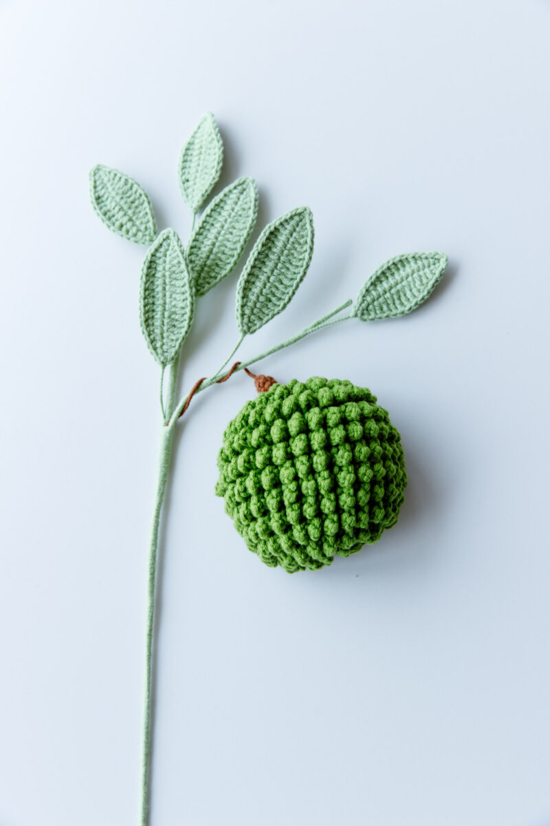 Crochet Durian|hookok Crochet Durian|hookok